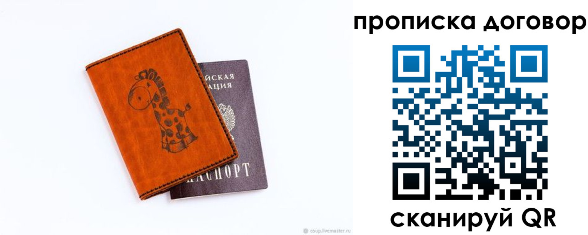 прописка паспорт в Бабаево